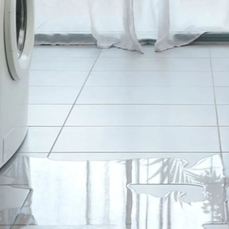 Appliance Leak Cleanup in Morgantown, KY