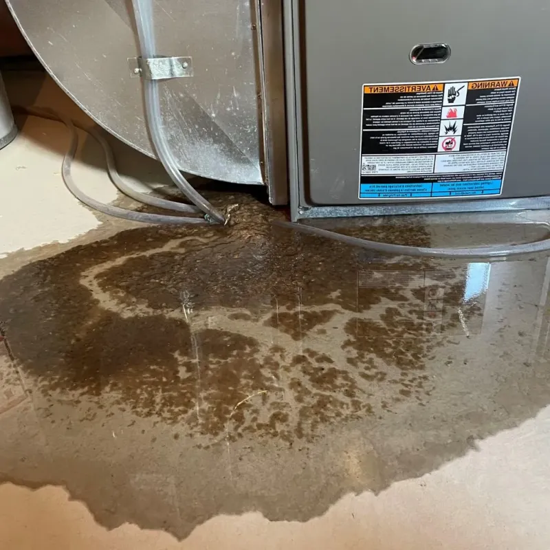 Pipe Burst and Leak Restoration in Morgantown, KY
