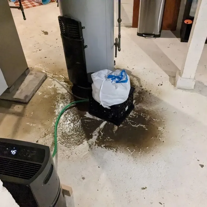 Sewage Backup Cleanup Service in Morgantown, KY